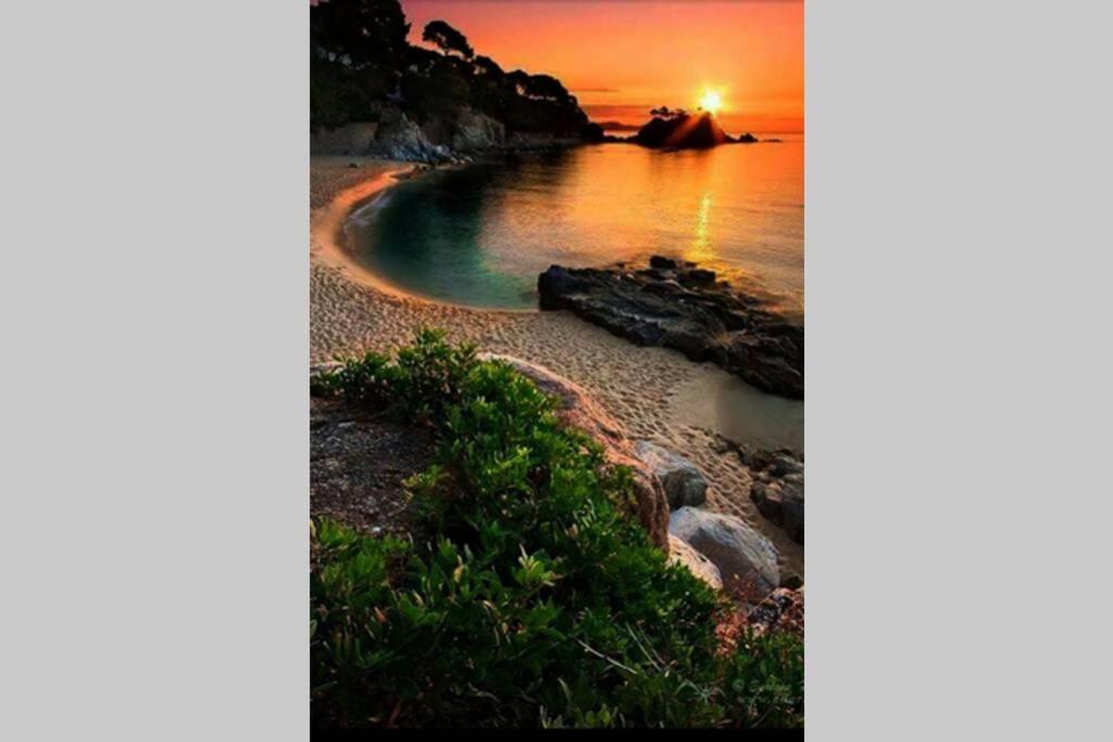Tossa De Mar, Miramar Con Piscinaアパートメント エクステリア 写真
