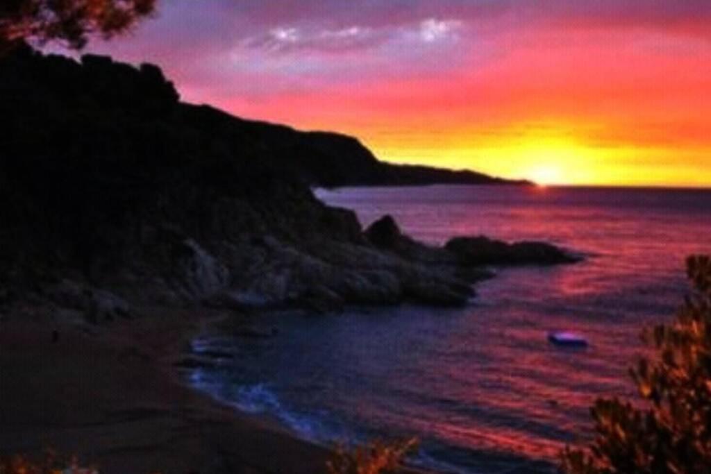 Tossa De Mar, Miramar Con Piscinaアパートメント エクステリア 写真