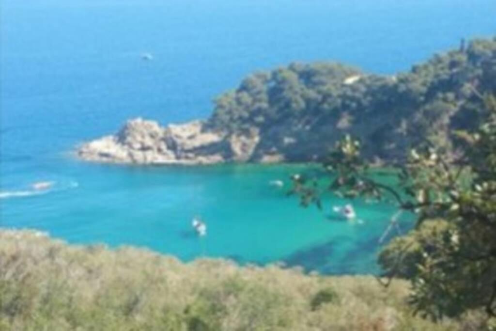 Tossa De Mar, Miramar Con Piscinaアパートメント エクステリア 写真